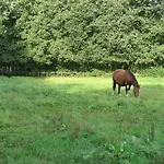 Rustpunt Groote Heide Bed & Breakfast *