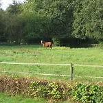 Rustpunt Groote Heide Bed & Breakfast