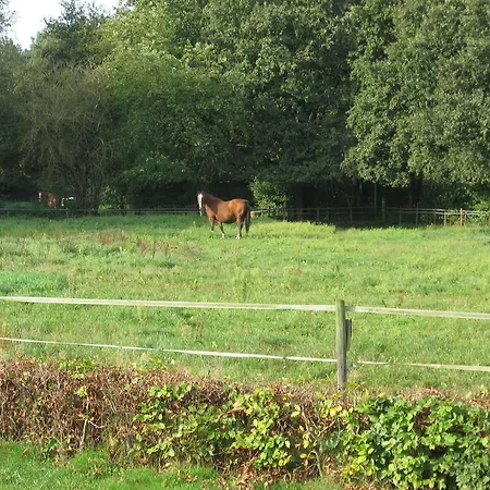 Rustpunt Groote Heide Bed and breakfast