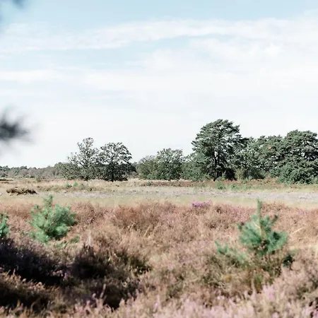 Frühstückspension Rustpunt Groote Heide Heeze