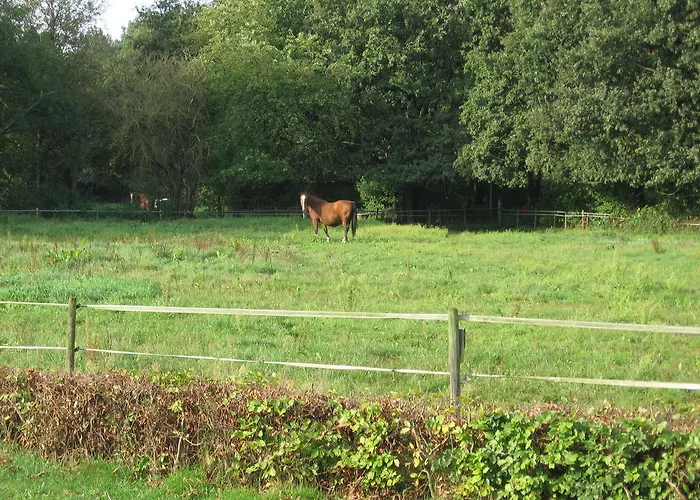 Rustpunt Groote Heide فندق مبيت وإفطار