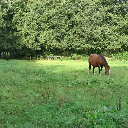 Rustpunt Groote Heide Panzió *