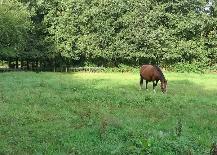 Rustpunt Groote Heide Bed & Breakfast *